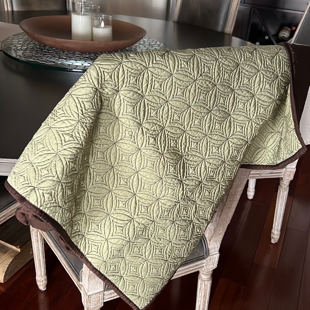 2 Restoration Hardwware Silk Euro pillow Sham size 26x26 in Avocado green